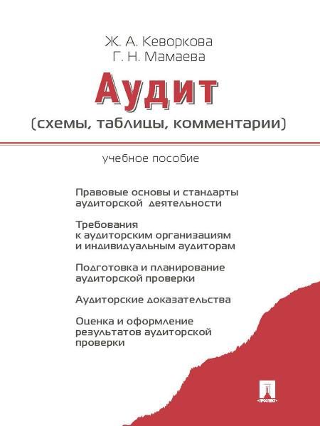 Аудит схемы,таблицы,комментарии. Уч.пос.-М.:Проспект,2026. 249261