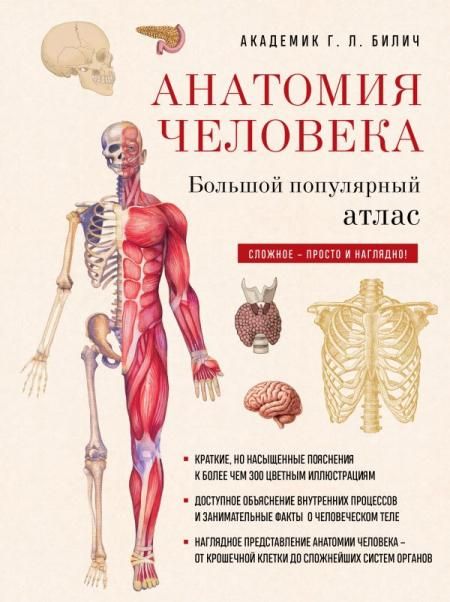 Анатомия человека: большой популярный атлас новое оформление