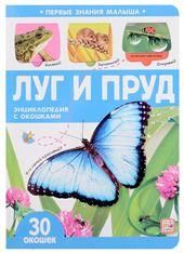 Луг и пруд. Первые знания малыша