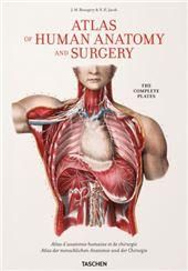 Atlas of Human Anatomy andSurgery: The Complete Plates by J.M. Bourgery N.H. Jacob
