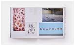 Wangechi Mutu Phaidon Contemporary Artists Series