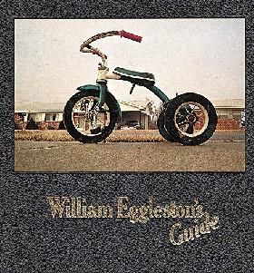 William Egglestons Guide