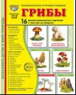 Дем. картинки СУПЕР Грибы. 16 демонстрационных картинок с текстом В ПАПКЕ 173х220 мм