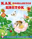 РР. Как появляется цветок