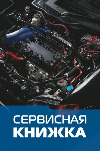 Сервисная книжка на проволоке