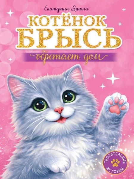ТРОГАТЕЛЬНЫЕ ИСТОРИИ. Котёнок Брысь обретает дом