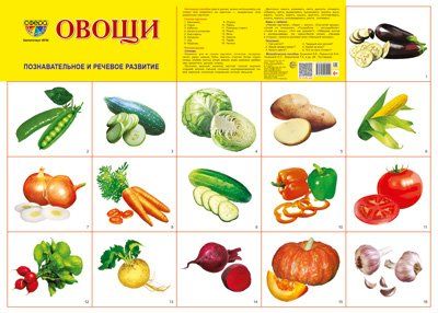 Демонстрационный плакат СУПЕР А2 Овощи