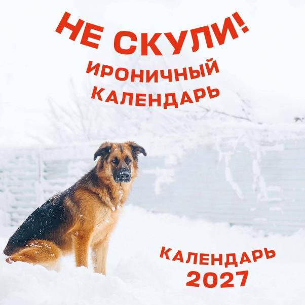 Не скули. Ироничный календарь настенный на 2027 год 300х300 мм