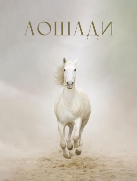Лошади