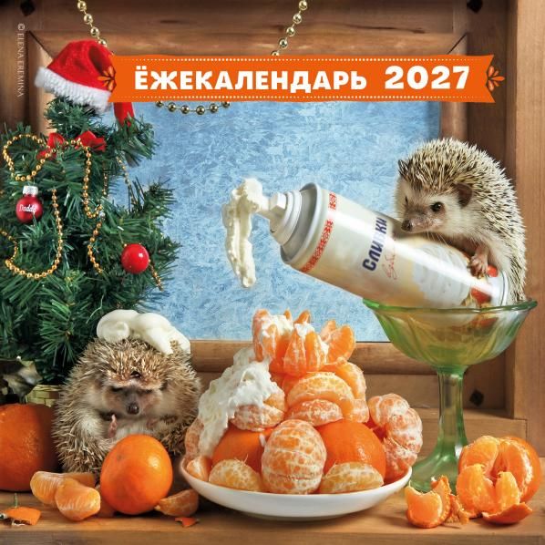 Ёжекалендарь. Мандаринки со сливками. Календарь настенный на 2027 год 300х300