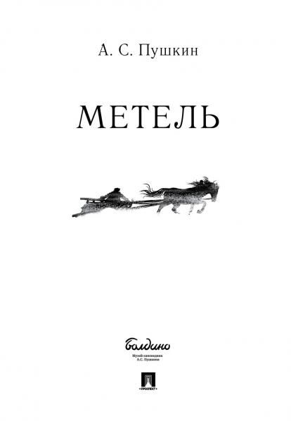 Метель.-М.:Проспект,2026 250643