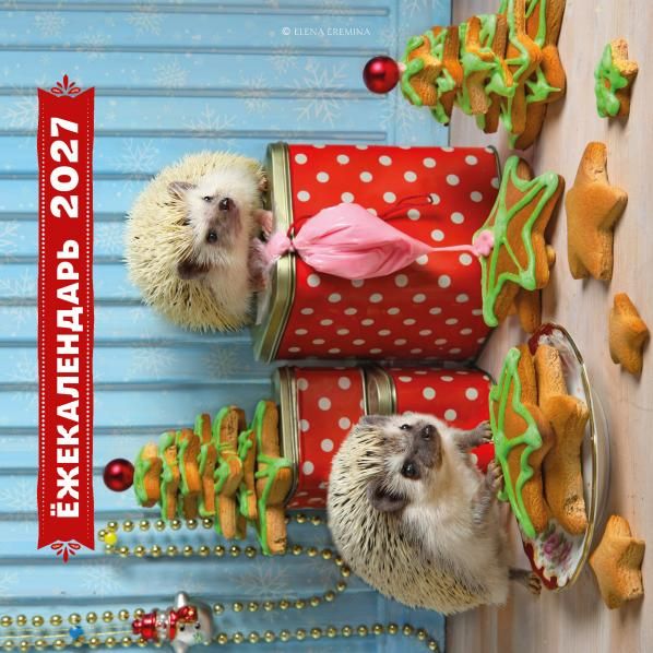 Ёжекалендарь. Прянички в глазури. Календарь настенный на 2027 год 300х300