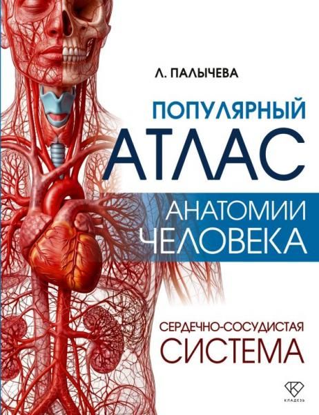 Популярный атлас анатомии человека. Сердечно-сосудистая система
