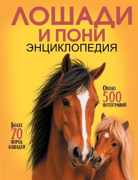 Лошади и пони