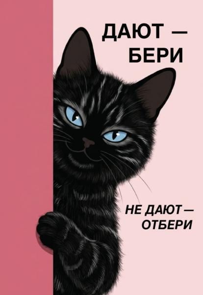Дают - бери, не дают - отбери Ежедневник недатированный А5, 72 л.