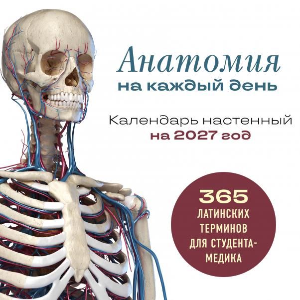 Анатомия на каждый день. 365 латинских терминов для студента-медика. Календарь настенный на 2027 год 300х300 мм
