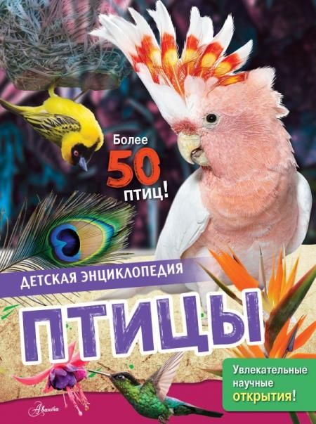 Птицы