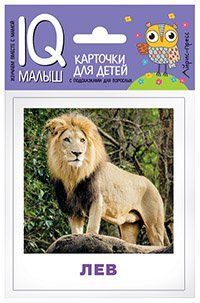 Умный малыш. Животные жарких стран. Набор карточек